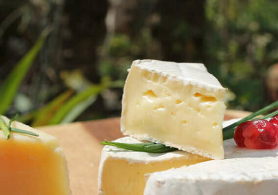 concurso-de-queijos-14092021111007512