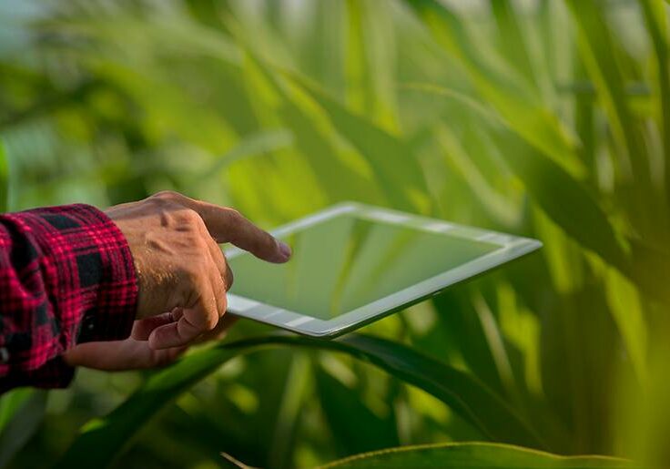 conectividade-no-campo