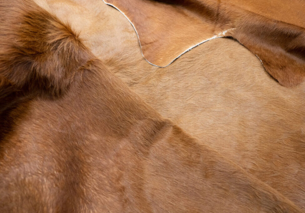 couro_animal_freepik