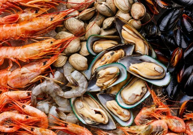 crustaceos