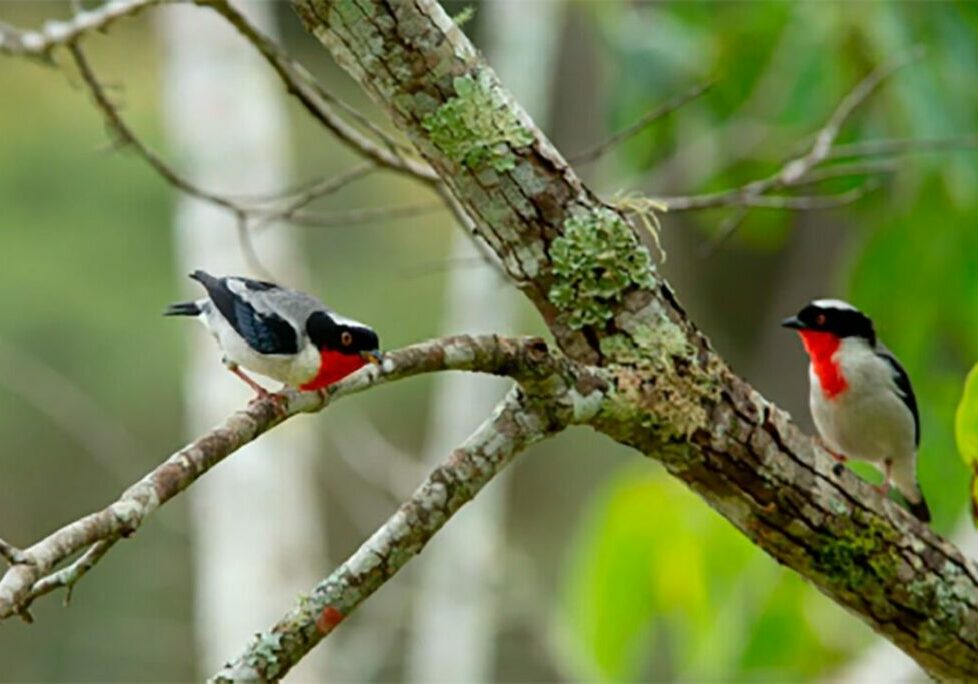 d9395b93-9286-41e8-ae8e-dbeb4ea2907e