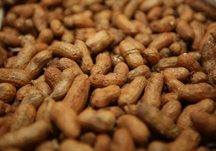 dcf64ade-e073-492f-bbe9-0abad2d37850