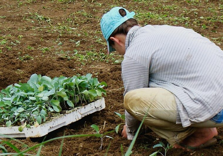 design_sem_nome_85_1674048333717