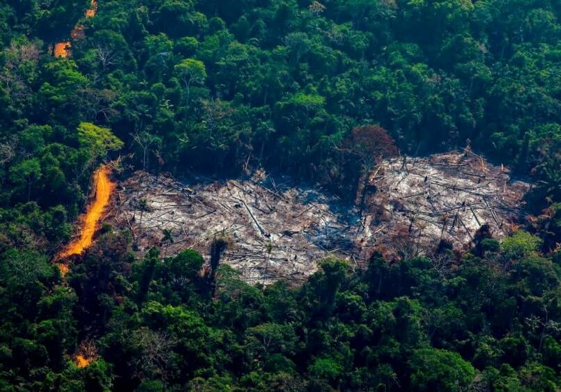 desmatamento-amazonia-getty