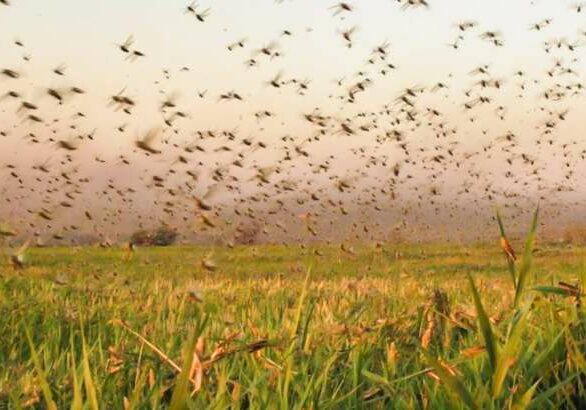 dfghfdhdghgdhggdhgdrf-1-1280x720-1