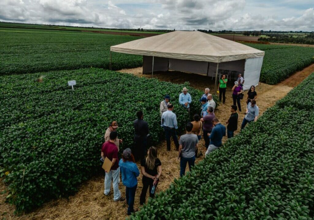 dia-de-campo-mancha-alvo