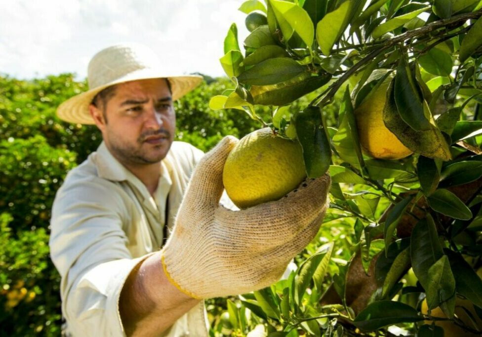 divulgacao-sulgesso1