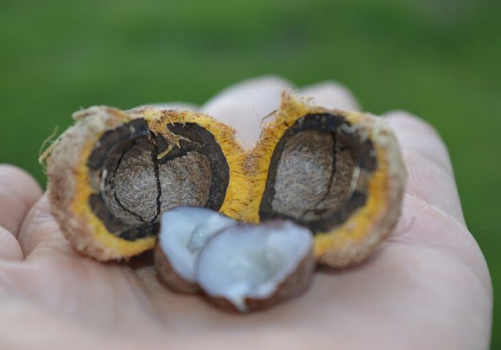 e53268b2-5f65-4d0d-8e42-6bdb16897b8f