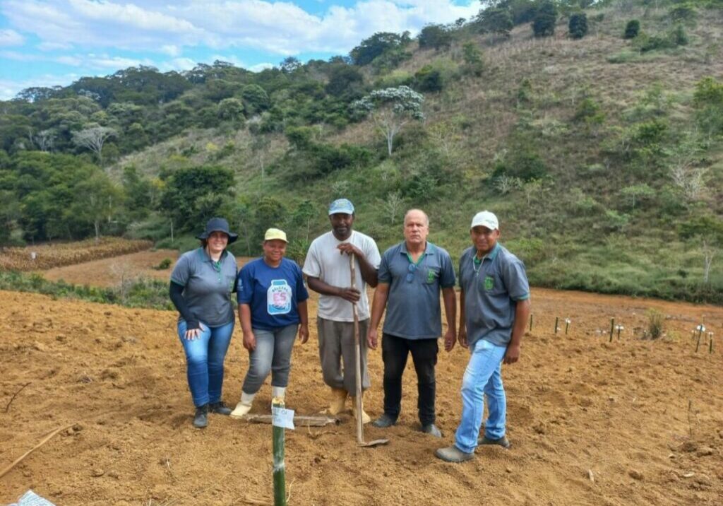 estudo-melhoramento-genético