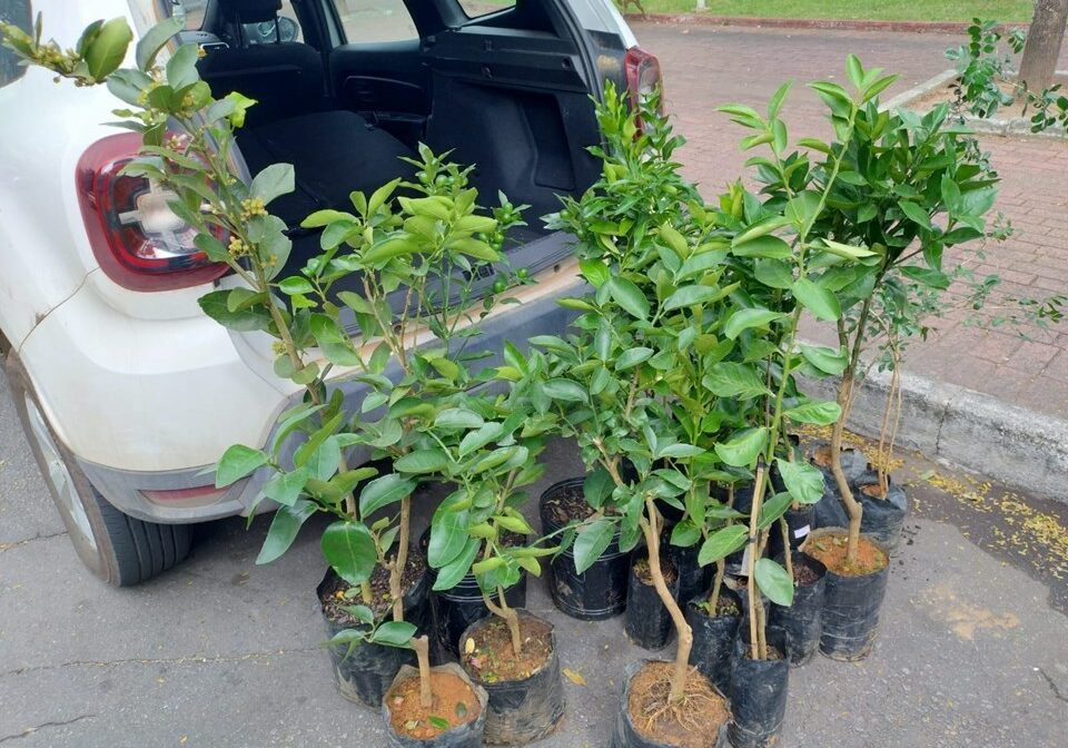 f27d6646-2c0d-47b8-b627-3852ece8c341