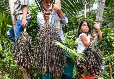 familia-pinon