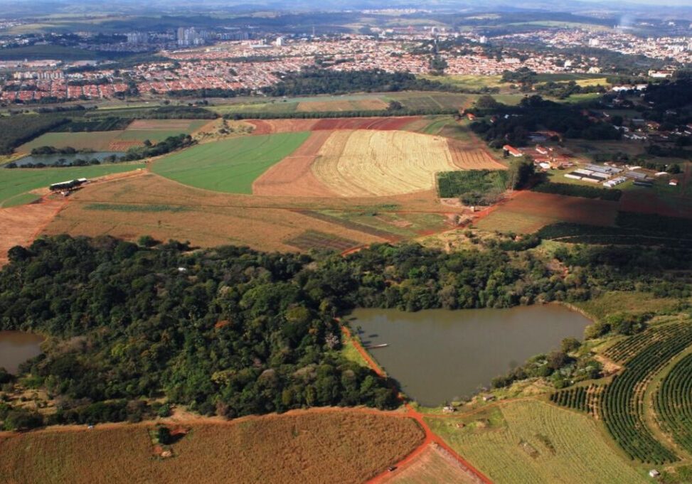 fazenda-santa-elisa-Foto-IAC