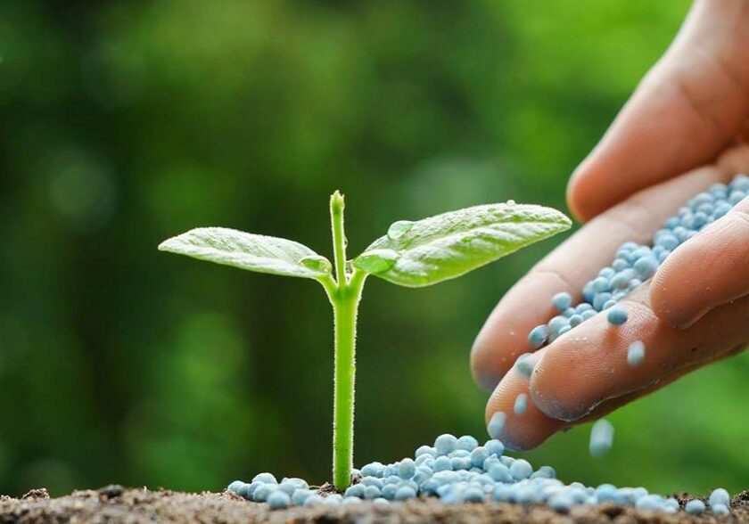 fertilizantes
