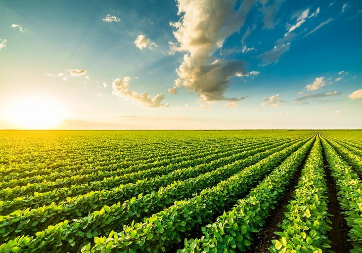 ffa1523e-9af9-48bd-a279-7e24ca4057d3