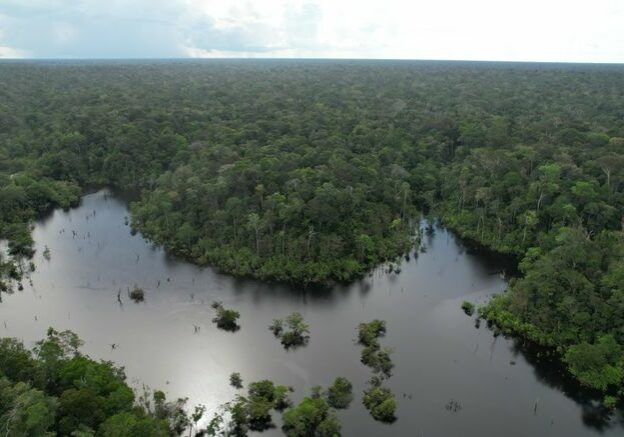 floresta_amazonia