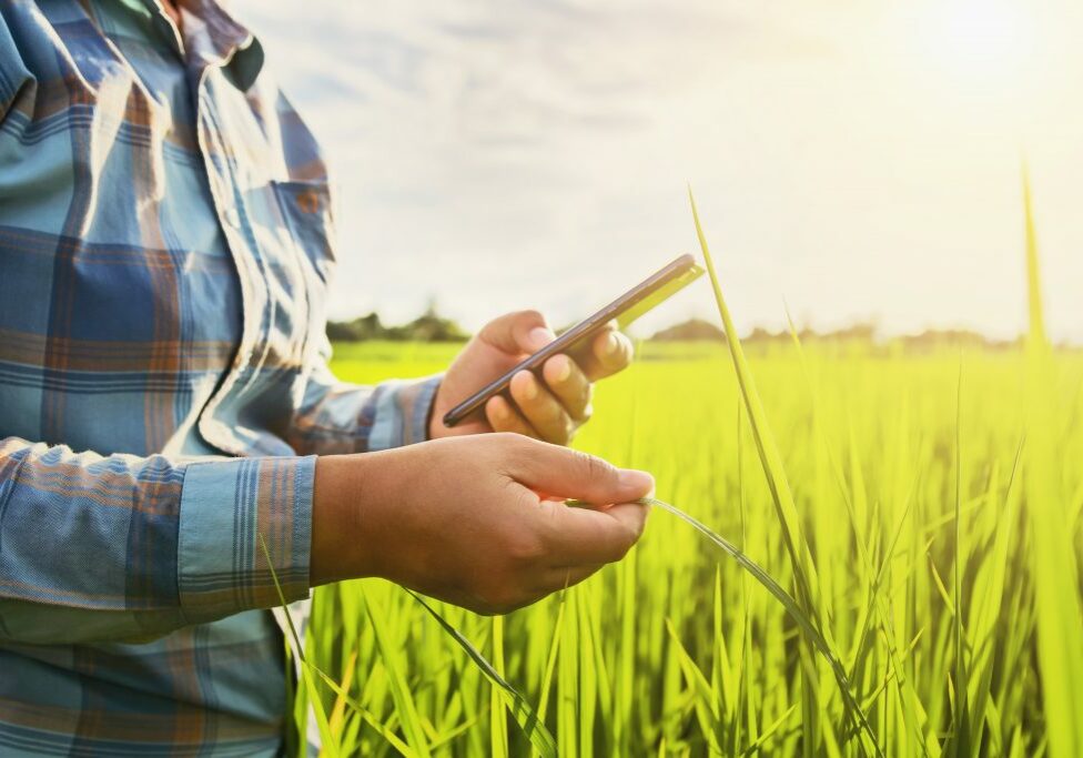 fotolia_220636609_subscription_xxl