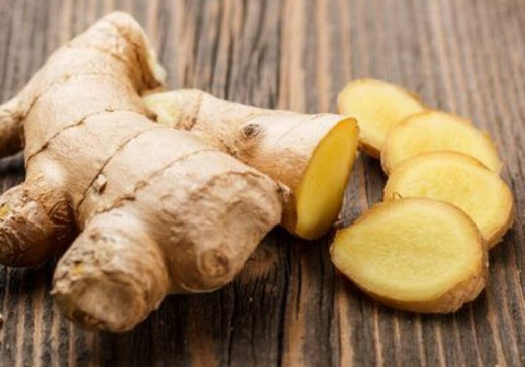 gengibre_02