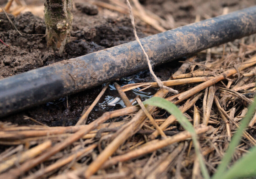 gotejamento_envato (1)