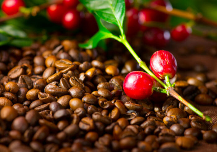 graos-de-cafe