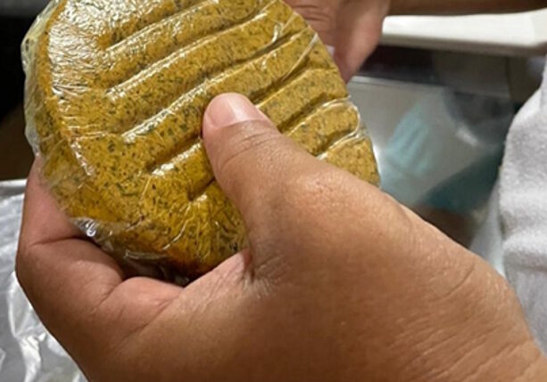 hamburguer de babaçu