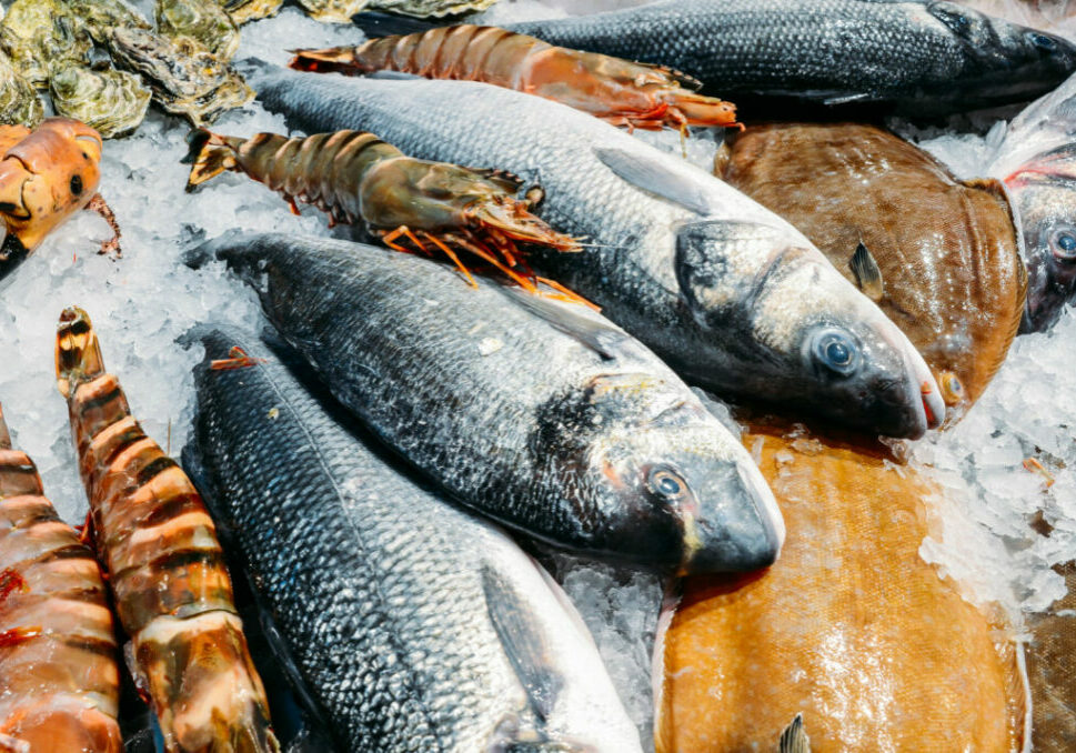 high-angle-still-life-variety-raw-fresh-fish-chilling-bed-cold-ice-seafood-market-stall-1