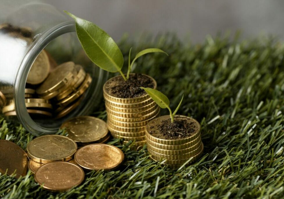 high-angle-two-stacks-coins-grass-with-jar-plants-2-1