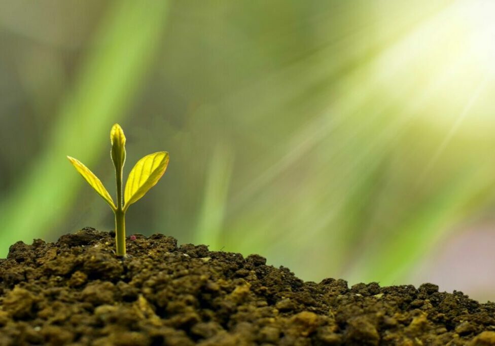 investment-5241253_1920