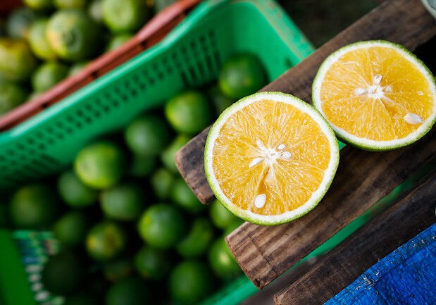 citricultura brasileira - Foto/ Freepik