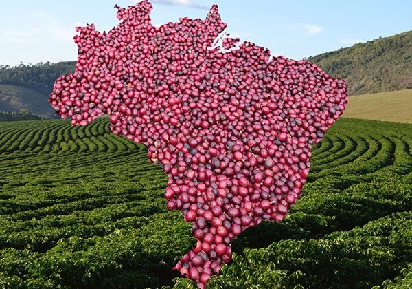 mapa-brasil-cafe