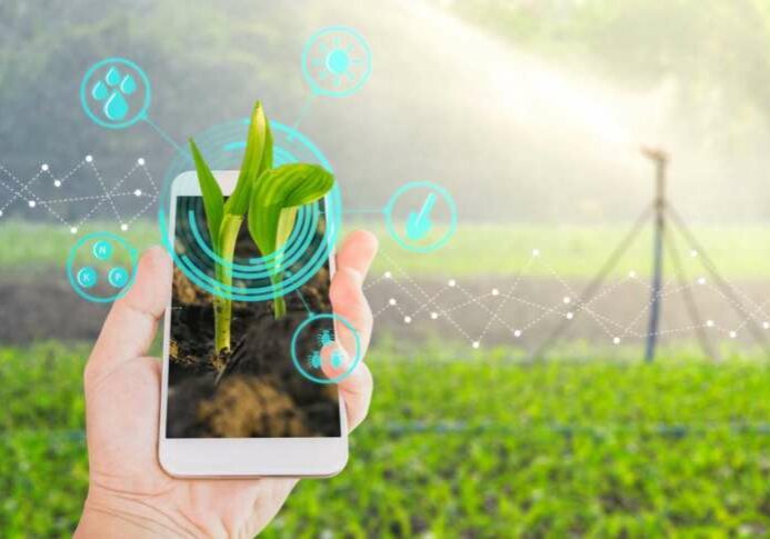 marketing-digital-para-agronegocio