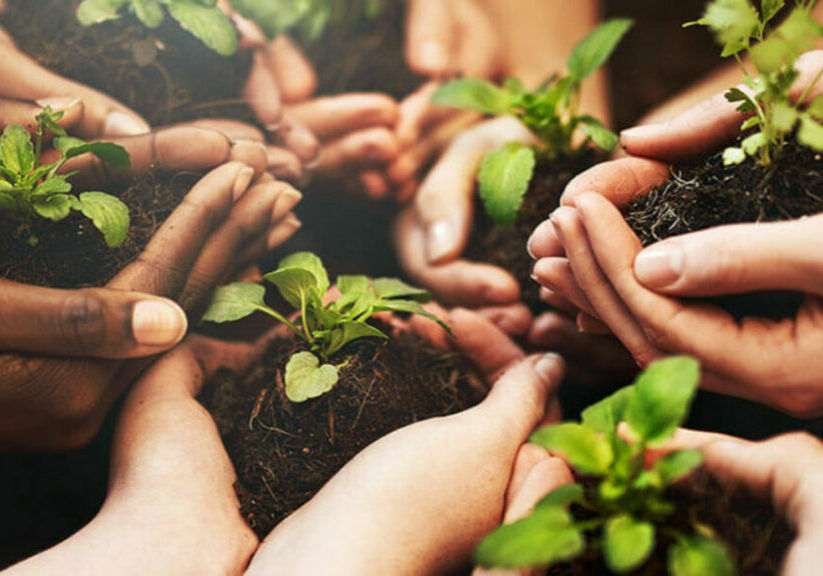 meio-ambiente-e-cooperativismo