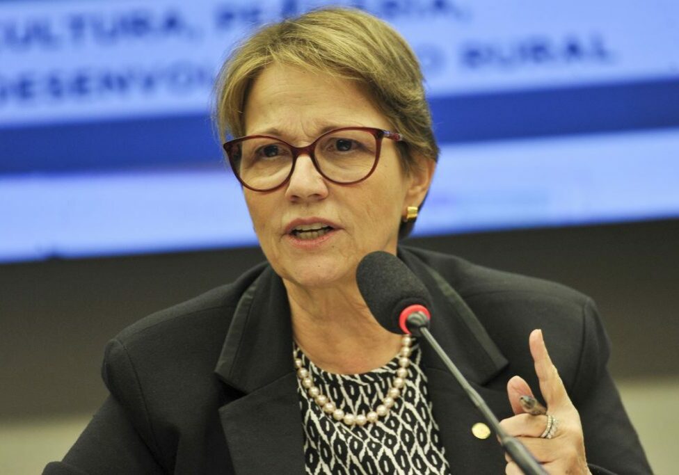 A ministra da Agricultura, Tereza Cristina, participa de audiência pública na Comissão de Agricultura da Câmara dos Deputados.