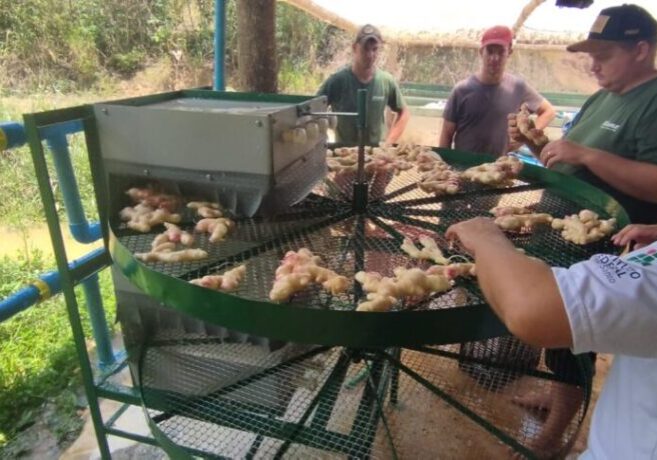 patente-verde-itapina-1