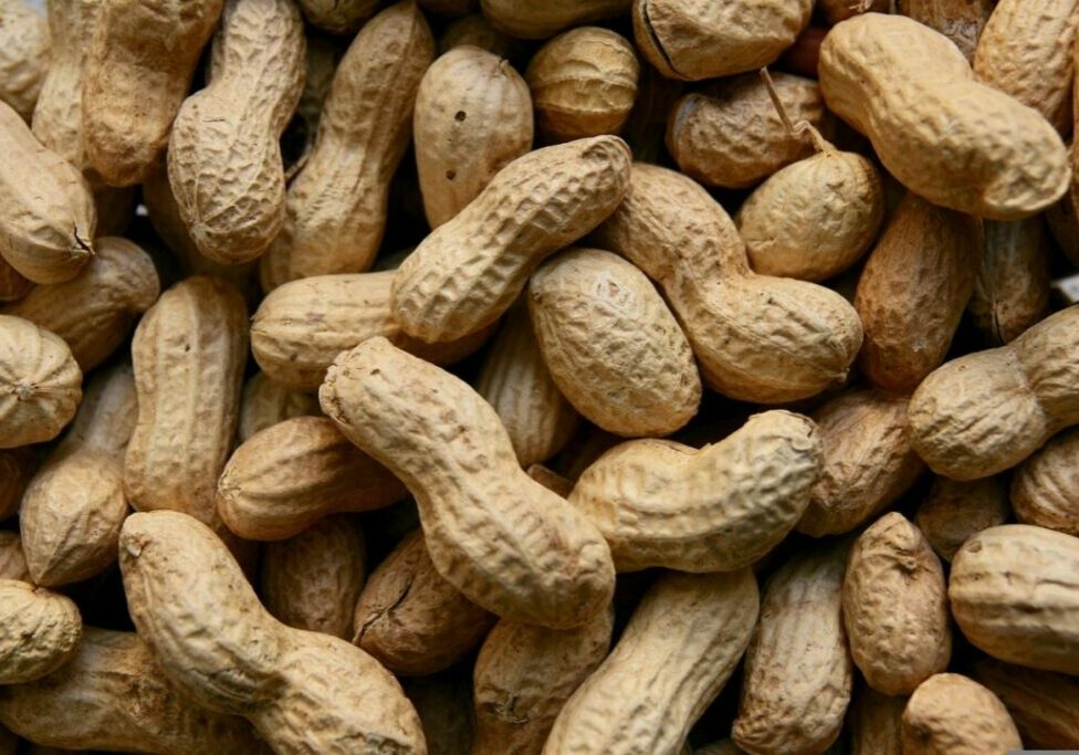 peanuts-3823362_1280