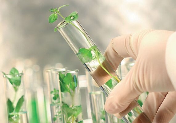 pesquisa-agropecuaria