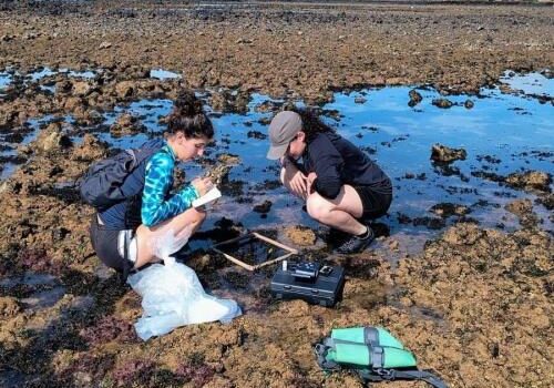 pesquisa_calor_recifes_ufes