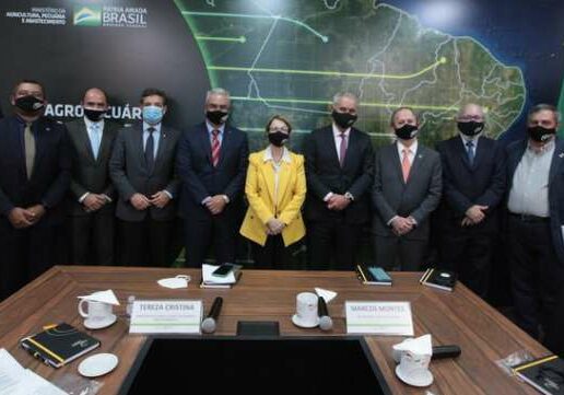 portal_observatorio_agro