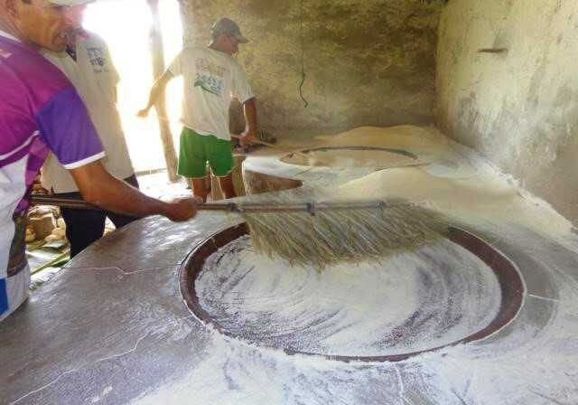 programa-bioeconomia-Brasil