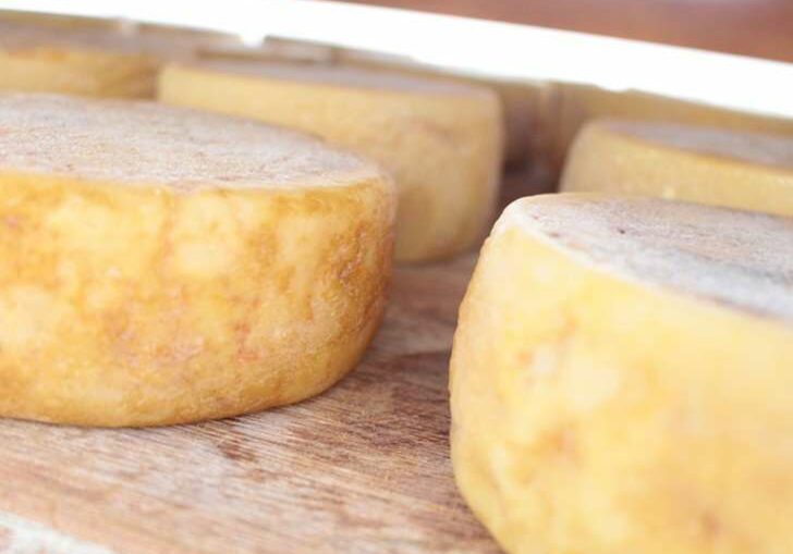queijo-1