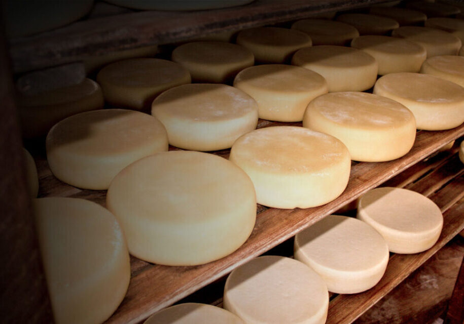 queijo canastra aprocan