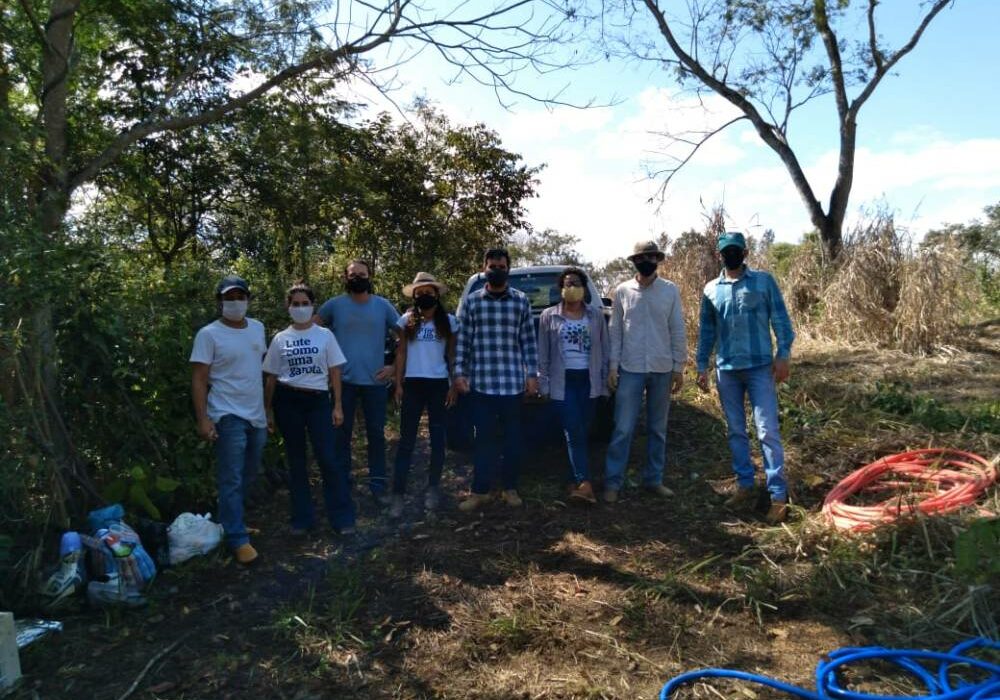 reflorestamento_colatina