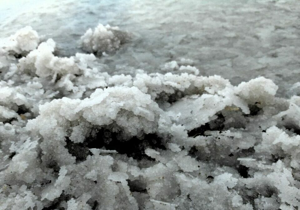 salt-19016_1280