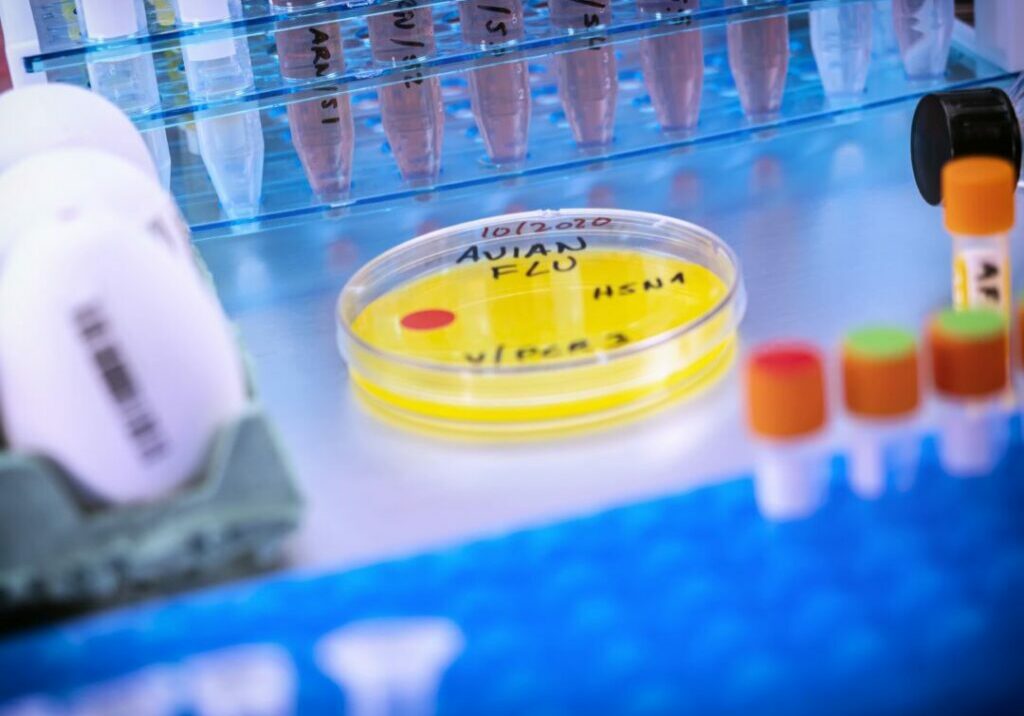 scientific-sampling-of-eggs-in-poor-condition-ana-2023-03-24-21-33-04-utc-1