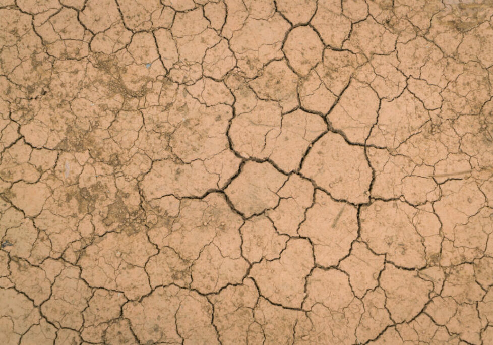 seca - solo - terra - calor - Freepik