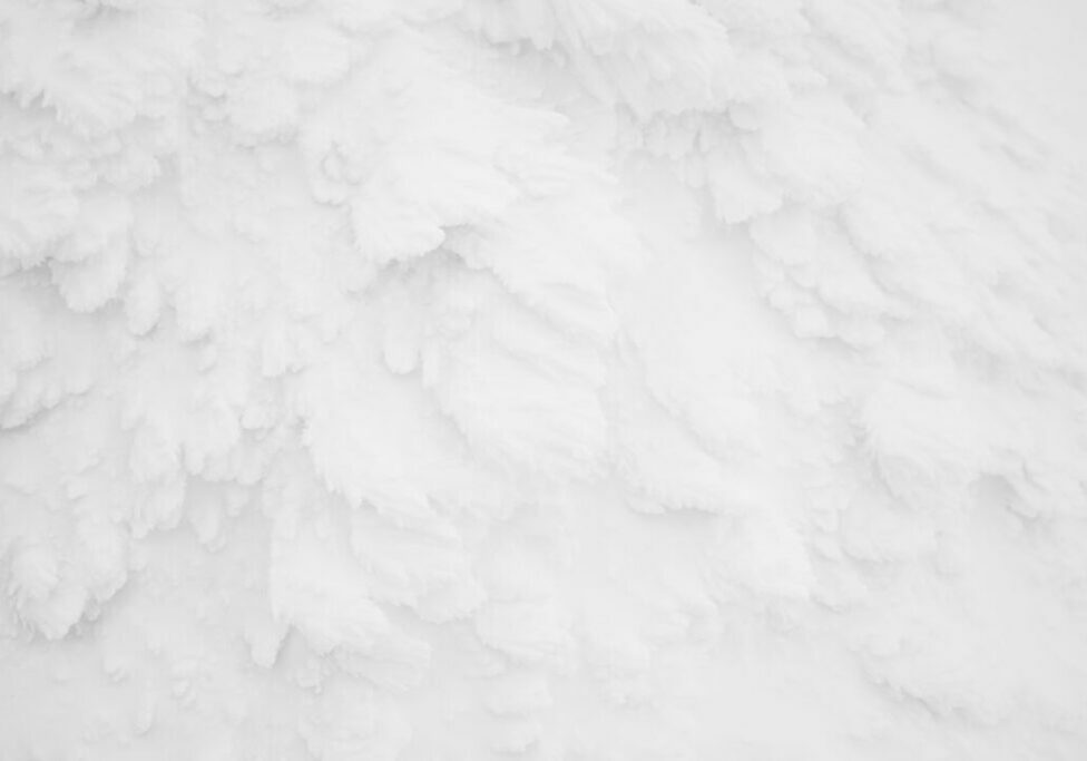 Snow Monsters area Mountain Zao, Japan