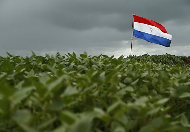 soja_paraguai