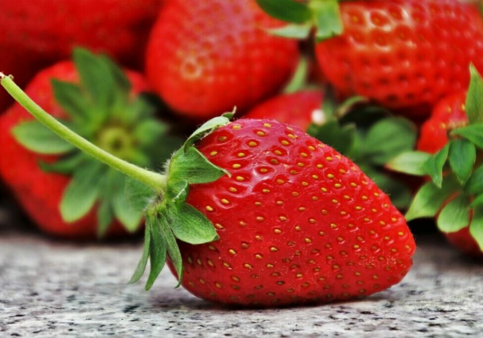 strawberries-3359755_1280