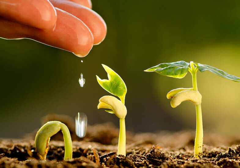 sustentabilidade-agricola