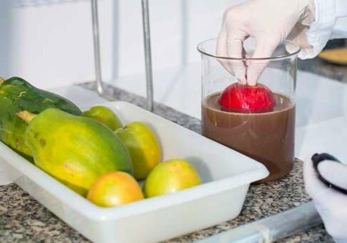 tecnologia_brasileira