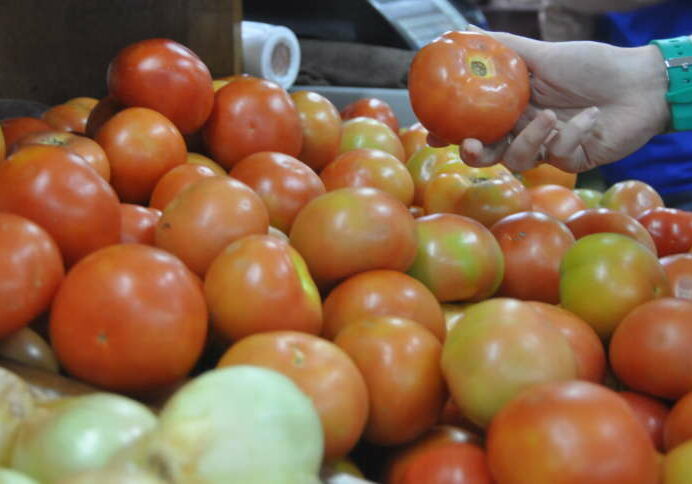 tomate